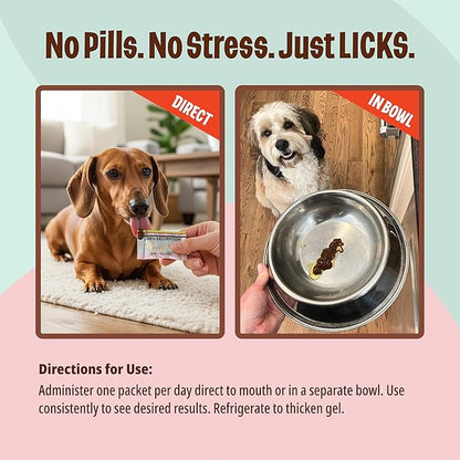 Licks Pill-Free Small Breed Dog Skin & Allergy - Omega 3 Dog Allergy Relief - Vitamins & Supplements for Itch Relief - Turmeric Supplement for Skin - Gel Packets - 10 Use