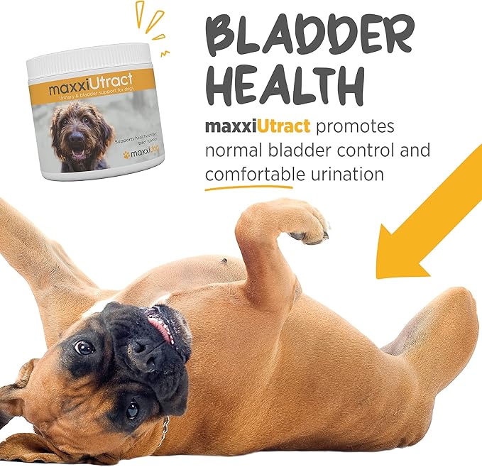 maxxiUtract Urinary & Bladder Support for Dogs – Natural Powder Supplement for Urinary Tract Health, Bladder Comfort & Ongoing Urinary System Support – D-Mannose & Cranberry Formula - 5.3 oz