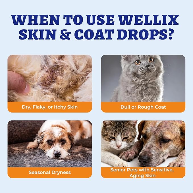4 oz Skin&Coat Drops for Dogs&Cats - Liquid Supplement with Omega 369 Biotin-Dog Itch&Allergy Relief,Reduces Shedding,Dog Fish Oil,Coat Defense for Dogs&Cats,Chicken Flavor
