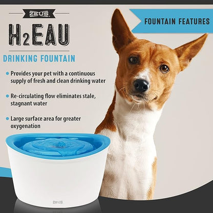 ZEUS H2EAU Elevated Dog and Cat Drinking Water Fountain with Purifying Filter, 6L Capacity (Pack of 2)