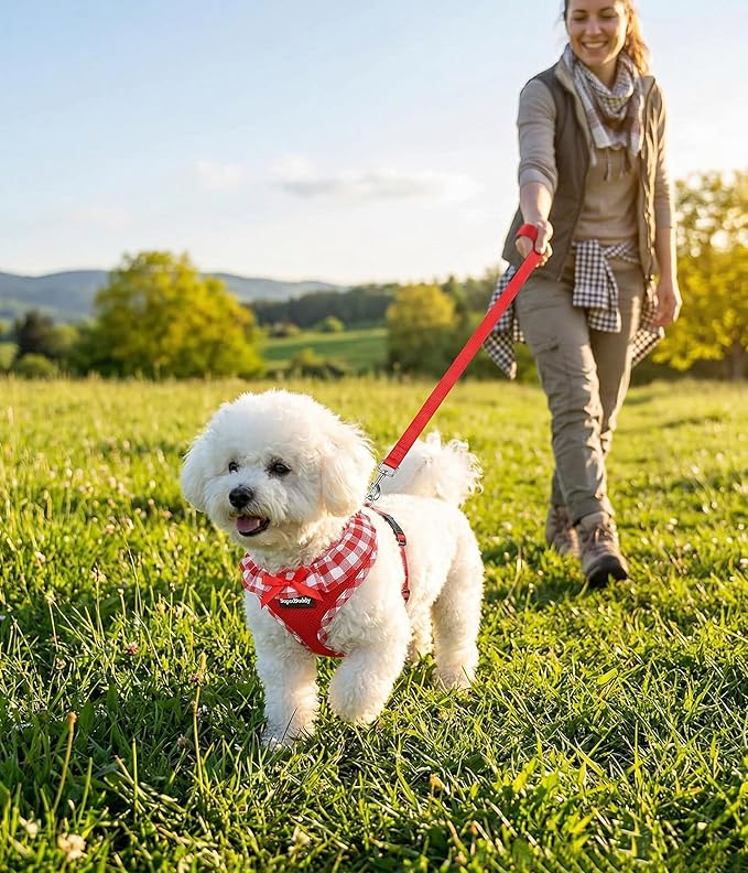 SuperBuddy Upgraded Soft Mesh Dog Harness Super Breathable Lightweight Pet Harnesses for Puppy Dogs Outdoor Walking, Red Dog Harness and Dog Leash Set Packing -Large