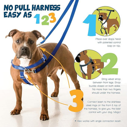 2 Hounds Design Freedom No Pull Dog Harness, Adjustable Harness, Easy Walking & Comfortable Control, Fits Small, Medium & Large Dogs, Solid Colors, Made in USA, 1" XXL, Turquoise