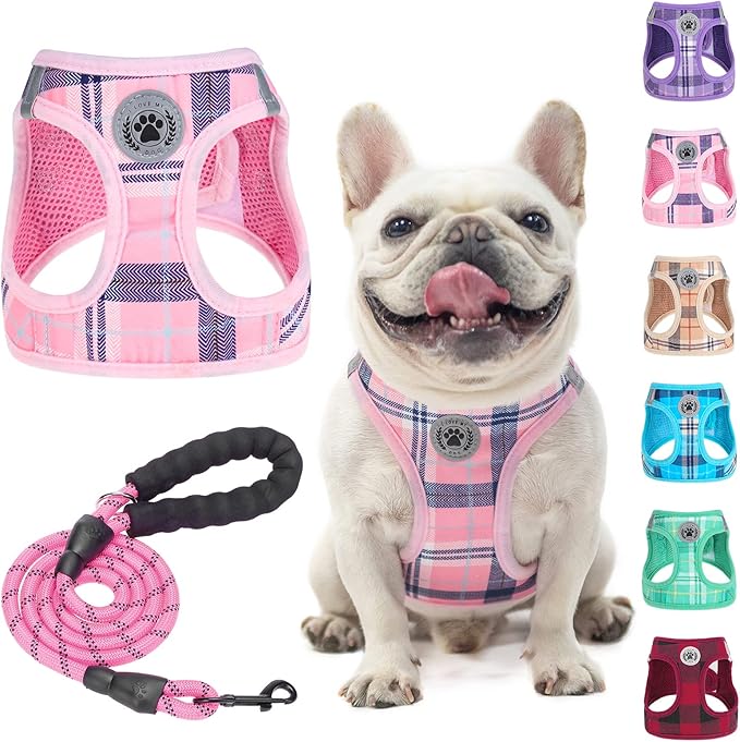 BEAUTYZOO Small Dog Harness and Leash Set,Step in No Choke No Pull Soft Mesh Dog Harnesses Reflective for Extra-Small/Small Medium Puppy Dogs and Cats, Plaid Dog Vest Harness for XS S Pets, Pink L