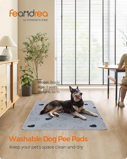 Feandrea Washable Dog Pee Pads, 2 Pack, Reusable Dog Pads, 60 x 48 Inches, XXL, Waterproof Pet Training Pads, Leakproof, Non-Slip, Super Absorbent, Gray UPTD048G01
