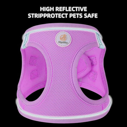 Hipubby Dog Harness and Leash Set, No Pull Soft Mesh Puppy Harness for Small Medium Dogs, Cats - Step in Reflective Breathable Lightweight Vest Harness for Walking, Training - Purple, M