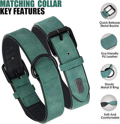 Didog Soft Padded Leather Dog Collar and Leash Set, Adjustable Dog Lead and Collar Set with Metal Buckle, Breathable Pet Collars with 4FT PU Leather Leash for Large Dogs, Green, XL