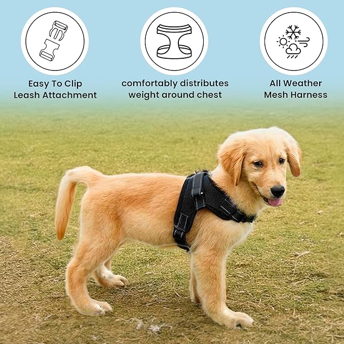 No Pull Reflective Adjustable Dog Harness with Handle- Comfortable Soft All Weather Mesh, Easy On Puppy Harness for Small Medium and Large Dogs (Black) XX-Small