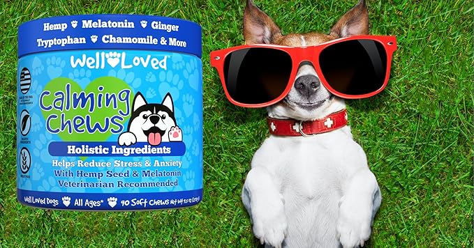 Well Loved Calming Chews for Dogs - Dog Calm Treats, Made in USA, Vet Developed, Behavior Support, Stress, Separation, Fireworks, Travel, Melatonin, Natural & Holistic, 90 Count