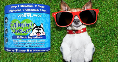 Well Loved Calming Chews for Dogs - Dog Calm Treats, Made in USA, Vet Developed, Behavior Support, Stress, Separation, Fireworks, Travel, Melatonin, Natural & Holistic, 90 Count