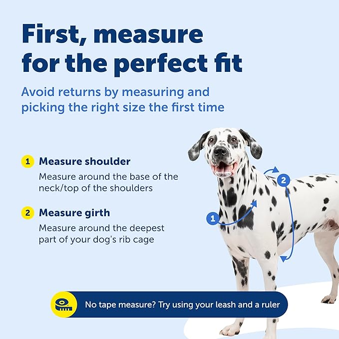 PetSafe 3 in 1 Dog Harness - No Pull Solution for Dogs - Reflective Dog Harness - Front D-Ring Clip Helps Stop Pulling - Comfortable Padded Straps - Top Handle Enhances Control - Black - Extra Small