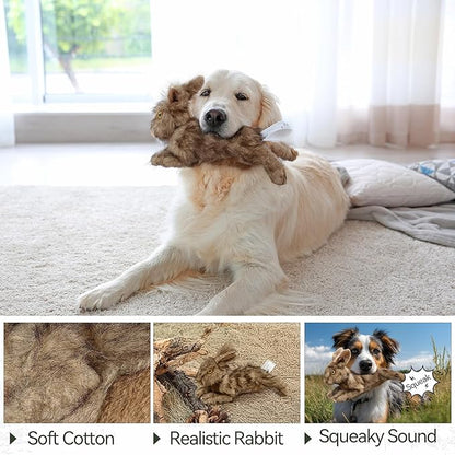 ALL FOR PAWS Brown Rabbit Pet Plush Toys, Dog Squeaker Toy, Large