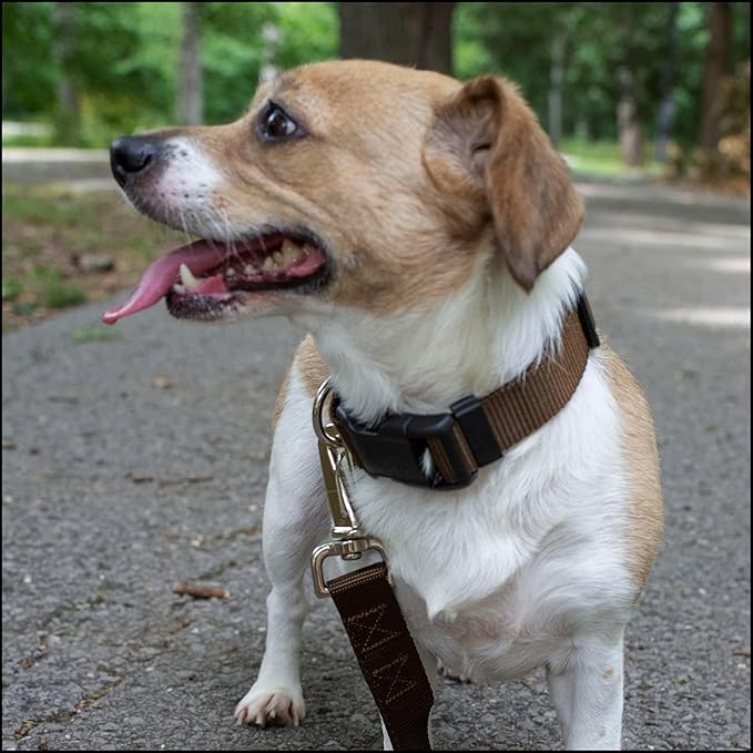 Country Brook Petz - Everyday Nylon Dog Collar for Large, Medium, and Small Dogs and Puppies - for Everyday Use in 10+ Warm Colors (Small, 3/4 Inch Wide, Brown)