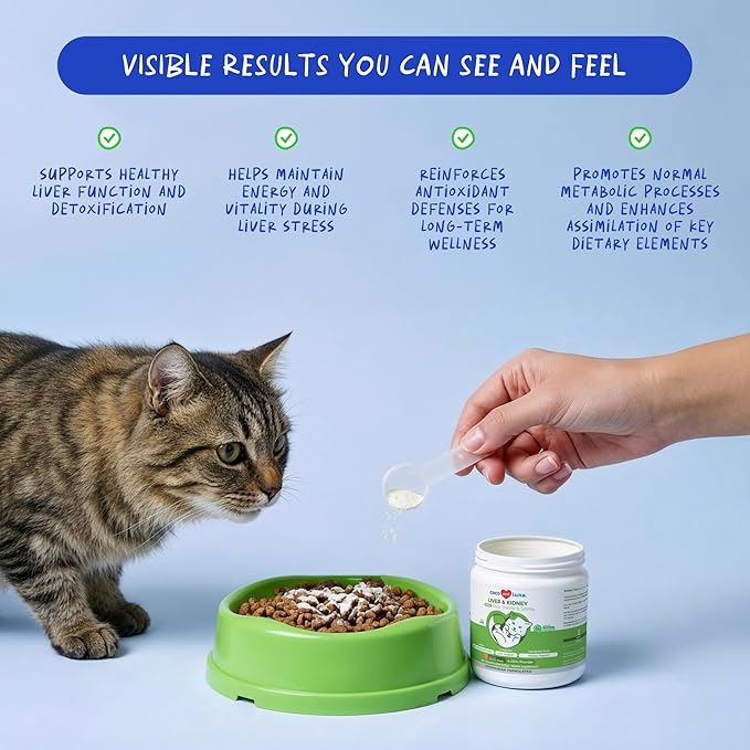Milk Thistle for Cats - Liver and Kidney Support - Hepatic Support with EPA & DHA - Detox - Liver Supplement with Choline and L-Arginine (Powder for Cats)