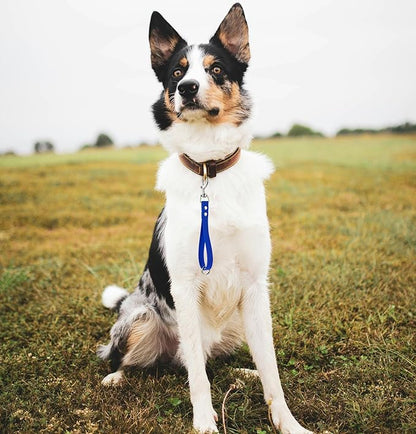 Short Dog Leash - 9 Inch Dogs Lead Grab Tab Heavy Duty Waterproof PVC Dog Training Traffic Leashes for Safety Control Behavior Correction Hiking Backup & All Breeds (Blue, 9'')