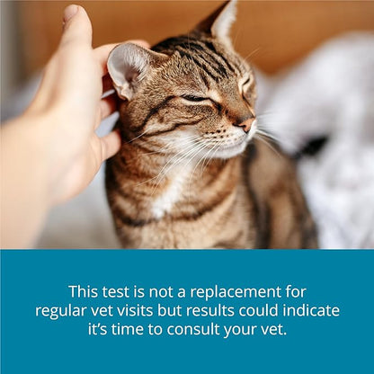 Petivity At-Home Kidney Health Test Kit for Cats — Quick Saliva Urea Test (2-Minute Home Check), Powered by Purina — Help Detect Early Kidney Changes - (Pack of 1)