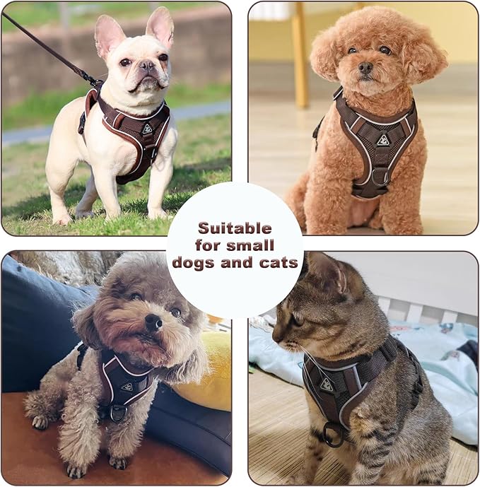 SOLMOONY Small Dog Harness,Soft Mesh Puppy Harness and Leash Set,No Escape Cat Harnesses for Training Walking,Reflective Adjustable Puppy Vest for Small Medium Dogs, Cats (Brown, M)