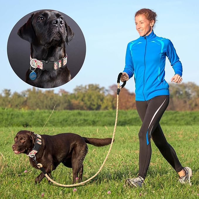 Ladoogo Reflective Dog Collar Padded with Soft Neoprene Breathable Adjustable Nylon Dog Collars for Small Medium Large Dogs (Large (Pack of 1), Vanila/Pink Floral Collar+Leash)