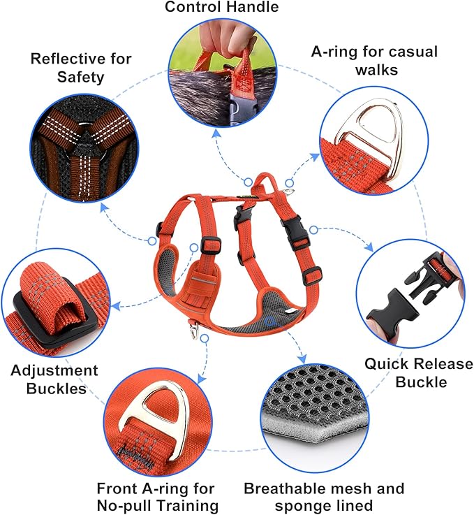 Plutus Pet No Pull Dog Harness, Reflective Adjustable Dog Vest Harness with Handle, Escape Proof, Soft Padded for Small Medium Large Dogs (Orange, XL)