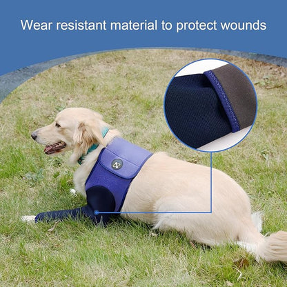 Coodeo Dog Recovery Suit, Cone Collar Alternative, Abrasion Resistant Dog Recovery Sleeve, Washable 2.5mm Thick and Waterproof, Pet Wounds Prevent Licking, Bite, Keep Dry（Purple，M