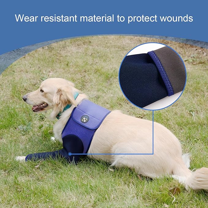 Coodeo Dog Recovery Suit, Cone Collar Alternative, Abrasion Resistant Dog Recovery Sleeve, Washable 2.5mm Thick and Waterproof, Pet Wounds Prevent Licking, Bite, Keep Dry（Purple，2XL