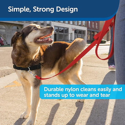 PetSafe Nylon Dog Leash – Strong, Durable, Traditional Style Leash with Easy to Use Bolt Snap for Small, Medium and Large Dogs – 3/8" x 6', Red