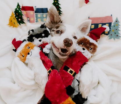 ZippyPaws Skinny Peltz - No Stuffing Dog Toys to Keep Them Busy, for Medium and Large Dogs, Squeaky Unstuffed Chew Toys for Pets, Soft Plush Variety Pack, Fox, Raccoon, & Squirrel - Holiday 3-Pack