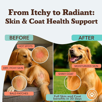 Natural Dog Company Skin & Coat Supplement for Dogs – Omega 3 Salmon Oil, Biotin & Vitamin E Support Shiny Coat, Healthy Skin & Normal Shedding, Promotes Comfort from Occasional Itch, 90 Count