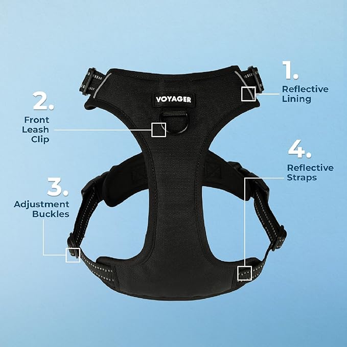 Voyager Dog Harness Dual Leash Attachment No-Pull Control Adjustable Soft but Strong Pet Harness for Medium and Large Dogs with 3M Reflective Technology, Black Nylon, XL (Chest: 28-37")