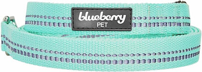 Blueberry Pet 3M Reflective Pastel Color Dog Leash with Soft & Comfortable Handle, 5 ft x 5/8", Mint Blue, Small, Leashes for Dogs
