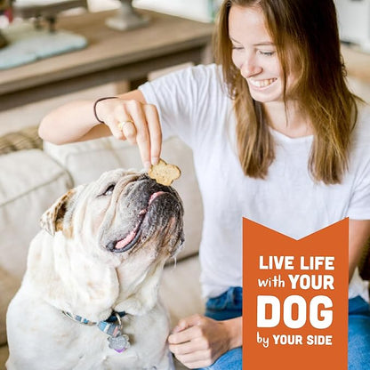 Cloud Star Wag More Bark Less Crunchy Grain Free Dog Treats, Peanut Butter & Apples, 14 oz. Box