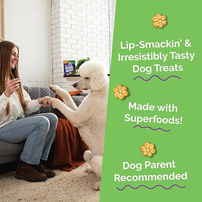 Fruitables Baked Dog Treats, Healthy Pumpkin Snacks for Dogs, Low Calorie & Delicious, No Wheat, Corn or Soy, Puppy Training Treats, Made in the USA, Pumpkin and Cranberry Flavor, 7oz