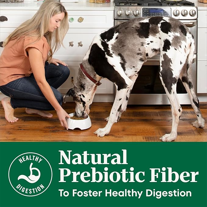 Nutro Natural Choice Dry Dog Food, Adult Dog Food Dry Chicken and Brown Rice Recipe, 5 lbs.