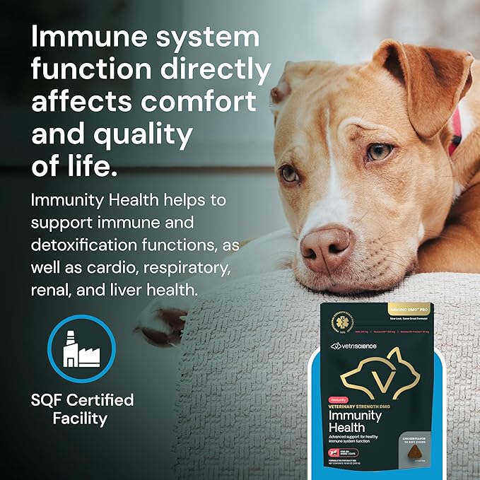 VETRISCIENCE Veterinary Strength DMG Immunity Health Chews - Immune System Support for Dogs & Cats - Liver Aid - Antioxidant Support for Pets - Chicken Flavor - 50 Count