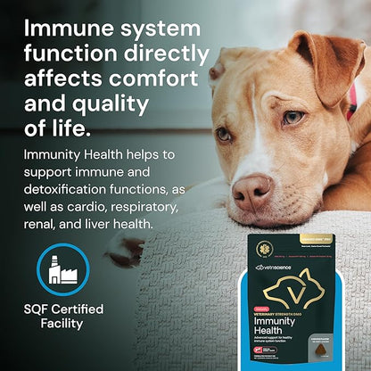 VETRISCIENCE Veterinary Strength DMG Immunity Health Chews - Immune System Support for Dogs & Cats - Liver Aid - Antioxidant Support for Pets - Chicken Flavor - 50 Count