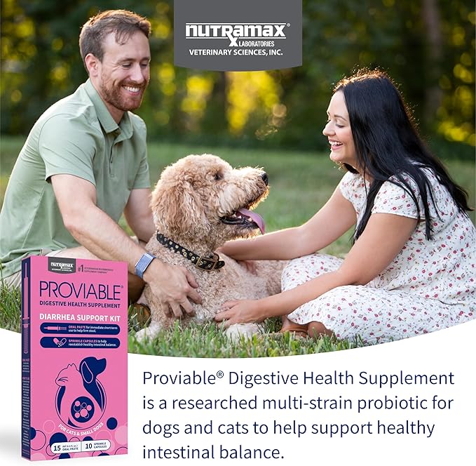 Nutramax Proviable Probiotics for Small Dogs and Cats, Diarrhea Support Kit, Digestive Health Supplement with Multiple Strains of Bacteria, Plus Prebiotics, Kaolin and Pectin, 15 ml Paste and 10 Capsules