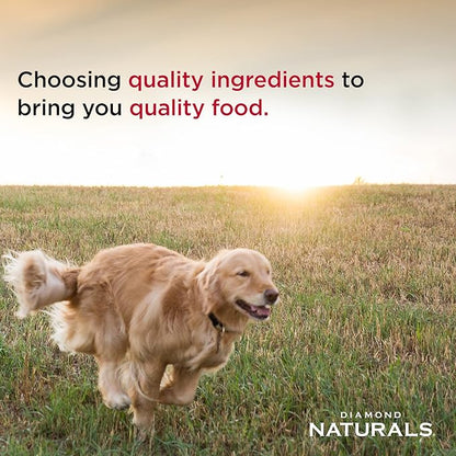 Diamond Naturals Small Breed Lamb and Rice Formula Adult Dry Dog Food with Quality Lean Protein from Real Lamb, Specially for Small Breed Dogs 6lb
