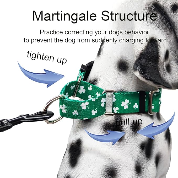St.Patrick's Day Martingale Collar for Dogs with Buckle Adjustable Shamrock Spring Holiday Dog Collar (Clover, Medium)