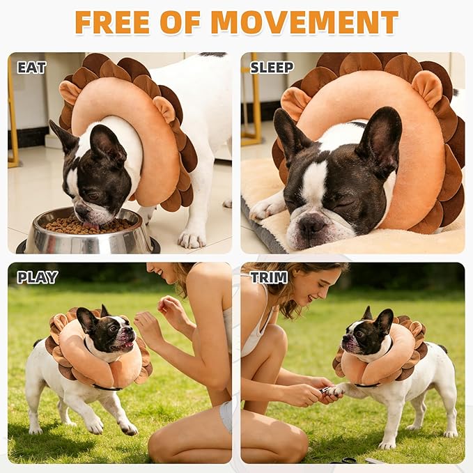 KOOLTAIL Inflatable Dog Cone Collar, Soft Donut E Collar for Dogs After Surgery to Stop Licking Enhanced Alternative, Blow Up Pet Neck Pillow Recovery Adjustable Cone for Dog Cat, Upgrade Size, Lion M