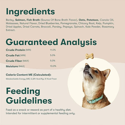 Jinx Oven-Baked Salmon Bone Broth Biscuit Dog Treats - Crunchy, All Natural, Superfood-Rich with High-Protein Salmon, Dog Biscuits for Puppies, Adults & Seniors - 16oz (Pack of 2)