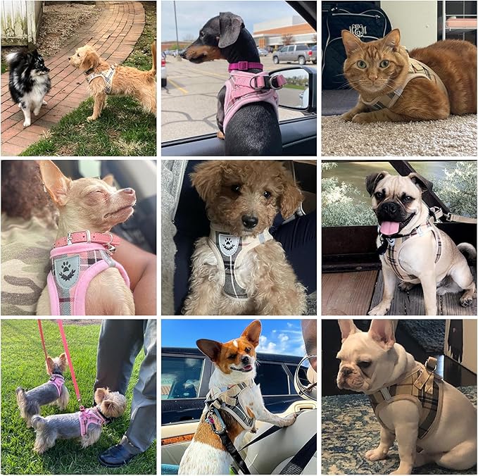 KOOLTAIL Dog Harness for Small Medium Dogs,Dog Harness and Leash Set, Step in No Pull Soft Mesh Padded Adjustable and Reflective Pet Vest Harness Puppy, Plaid Extra Harness for XS S Dogs, Beige XS