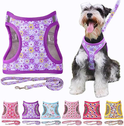 Moonpet Step in Dog Harness Leash Set- All Weather Reflective No-Pull Floral Pattern Padded Mesh Vest Harness for Cats Puppy Extra-Small Small Medium Large Dogs - Purple Flower - L