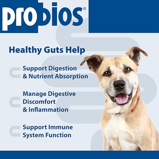 Probios Digestive Support Chewables for Dogs, Daily Probiotic Supplement for Gut Health, Digestion & Immune Support, 1 lb (Pack of 2)