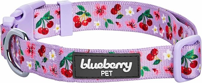 Cherry Garden Dog Collar with Dainty Flowers