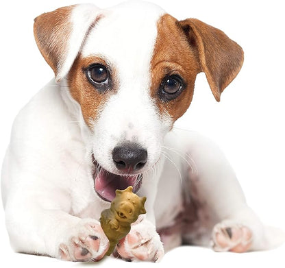 Nylabone Healthy Edibles Natural Puppy Chews Long Lasting Treats for Puppies, Lamb & Apple Flavor, Small/Regular (4 Count) (Pack of 2)