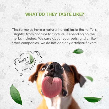 Wolf's Kidney | Natural Herbal Dietary Supplement | Healthy Kidney Function Support in Dogs | Alcohol-Free Extract, Dandelion Root, Calendula, Linden, Chamomile, Fennel 2 oz