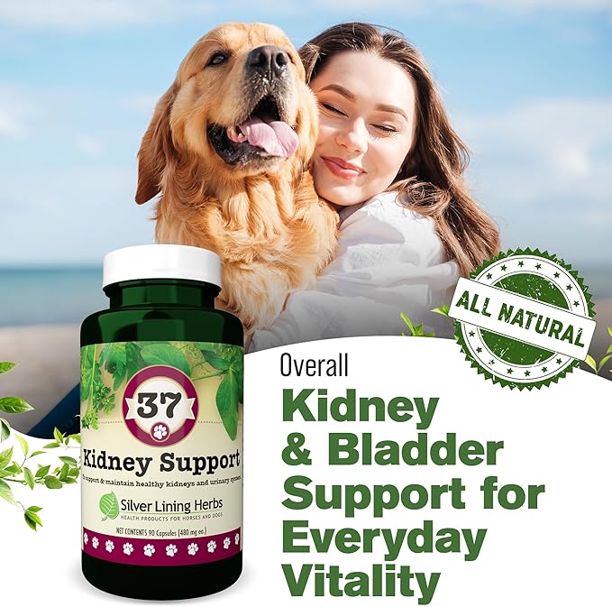 Silver Lining Herbs Kidney Support for Dogs – Natural Herbal Canine Kidney Cleanse & Bladder Support Supplement with Cranberry & Astragalus - Urinary Tract Health & Renal Vitamins – 90 Capsules