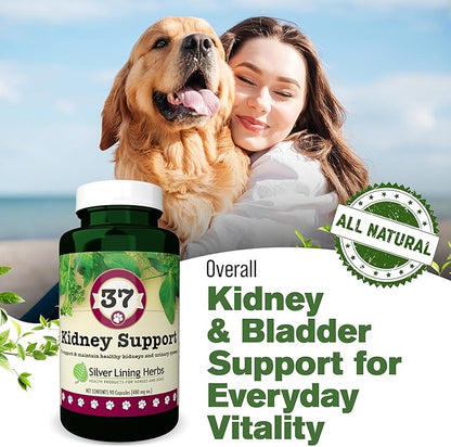 Silver Lining Herbs Kidney Support for Dogs – Natural Herbal Canine Kidney Cleanse & Bladder Support Supplement with Cranberry & Astragalus - Urinary Tract Health & Renal Vitamins – 90 Capsules