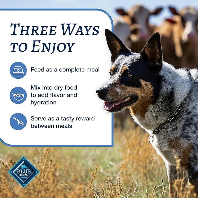 Blue Buffalo Family Favorites Adult Wet Dog Food, Made with Natural Ingredients, Sunday Chicken Dinner, 12.5-oz Can, 12 Count (Pack of 2)