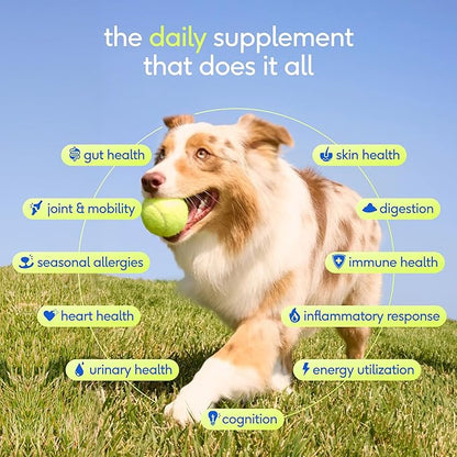 Native Pet The Daily Dog Vitamins & Supplements - 11-in-1 Multivitamin Powder for Dogs - Supports Whole Body Health, Digestion, Mobility & Immunity with Collagen, Glucosamine & Probiotics – 90 Scoops