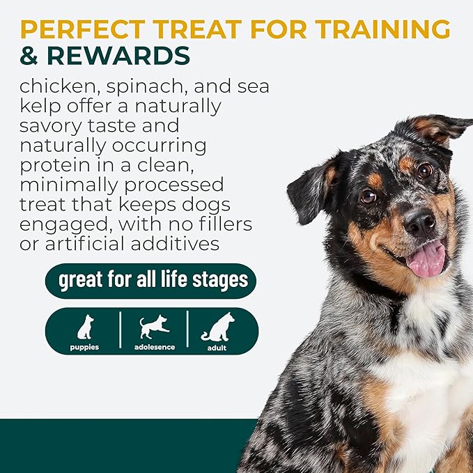 Momentum Carnivore Nutrition Freeze-Dried Chicken, Spinach & Sea Kelp Dog Treats & Cat Treats – Single-Ingredient Recipe, High-Protein, Grain-Free, Natural Superfood Blend – Made in USA – 3 oz Bag